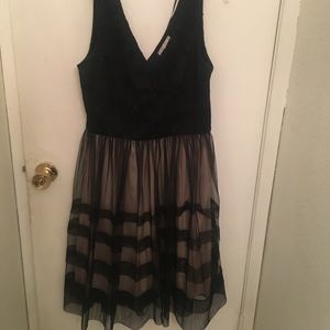 Black & Cream Tule Contrast Dress